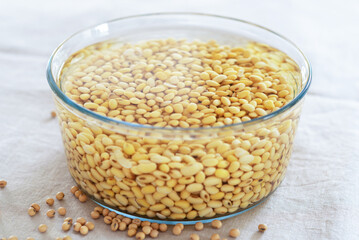 soaked soy bean or soya bean in a glass bowl on fabric background