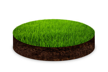 Cross section of round soil ground with grass isolated on white background