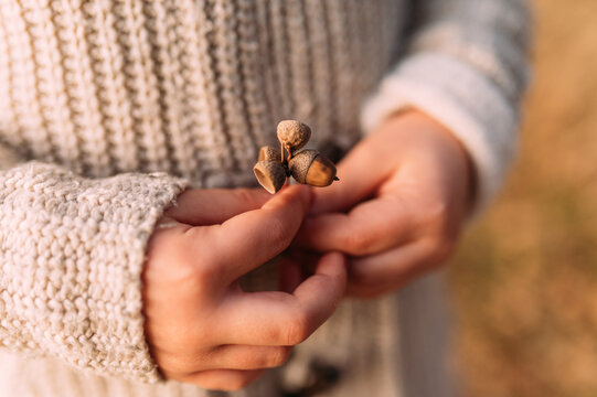 kleine Mädchen Hände halten Eicheln fest im Herbst horizontal detailaufnahme