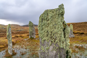 Moss and lichen growing on an ancient standing stone (with blurred background)  on the isle of...