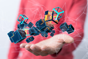 Telecommunication network and wireless mobile internet