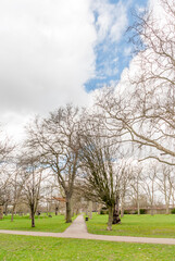London, United Kingdom, 12 March 2022: Trees in West Ham Park in Newham, East London
