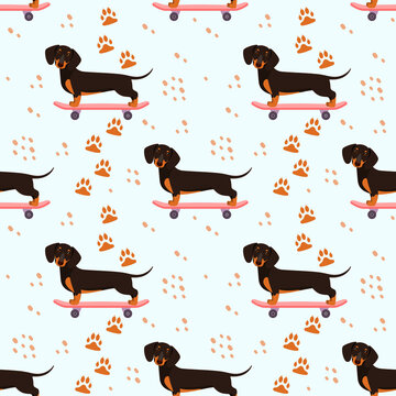 Seamless pattern with funny dogs. Dachshund on a skateboard. Cartoon design.