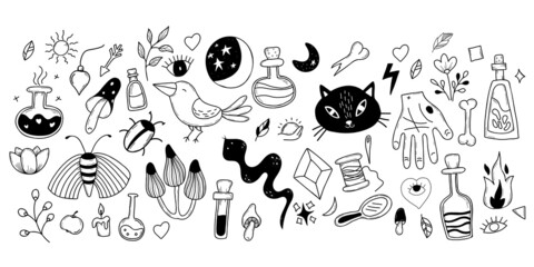 Big set of magic, witchcraft and occult items for witches, animals and plants. Amulets and ritual objects, cat and snake, potion and mushrooms. Vector illustration. Linear hand isolated doodles