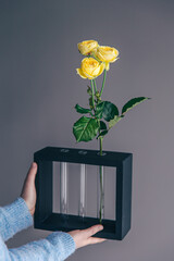 Unusual minimalistic flower vase in female hands.