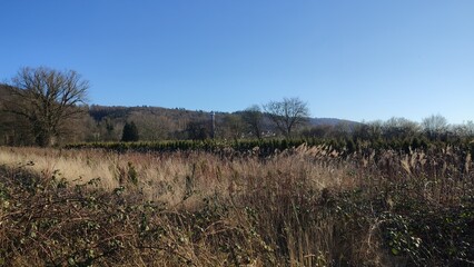 Felder Karlsruhr Durlach