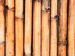 Vertically arranged bamboo is used as a fence

