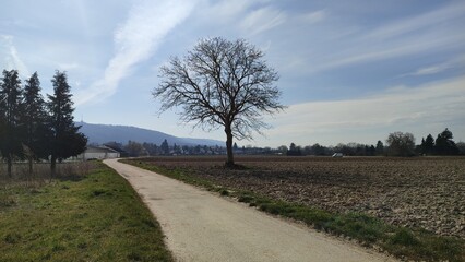 Wolfartsweier Felder Karlsruhe