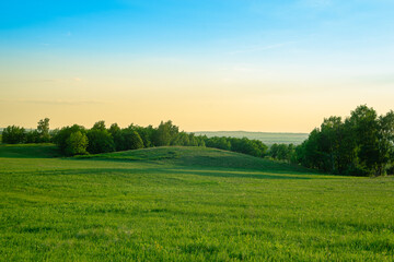 Obraz premium Green meadow, trees and hills Scotland.