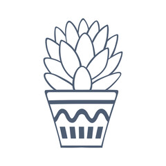 Hand drawn succulent in flowerpot illustration