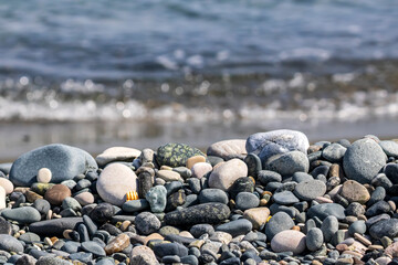 Different types of stones and pebbles on sea beach in sunlight