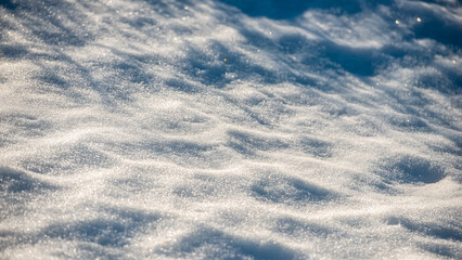 hadows on the surface of melting snow on a sunny day. Early spring.