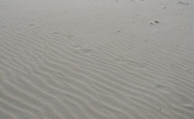 footprints on the beach