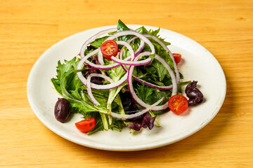 garden salad on a plate