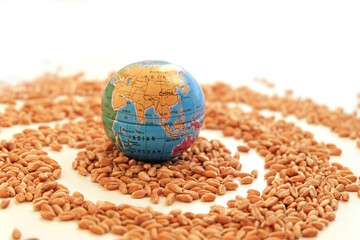Globe miniature and flour wheat, grain crop. The concept of the financial crisis in the world associated with the agro-industry