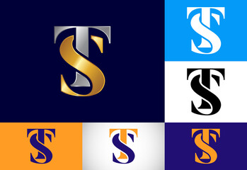 Initial Letter T S Logo Design Vector. Graphic Alphabet Symbol For Corporate Business Identity