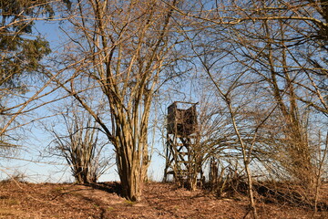 Vorm Hochsitz