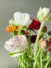 bouquet of colored anemones on a light background