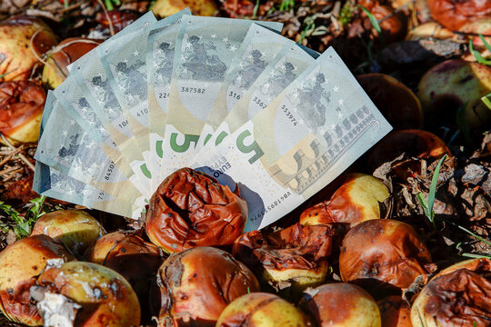 Euro notes and moldy apples. Every German spends an average of around 235 euros a year on food that ends up in the trash.