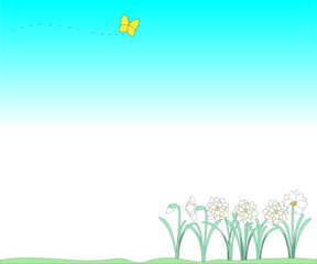 A field of early cheer with a yellow butterfly flying in a clear blue sky