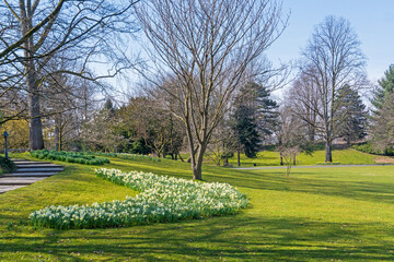 Kölner Rheinpark im Frühling