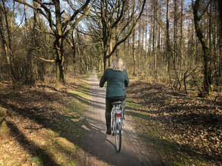 Having a bike ride in the forest. Uffelt Drenthe Netherlands