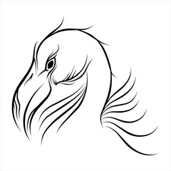 hand drawn flamingo line art illustration