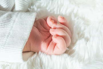 Baby | Neugeborenes | Hand