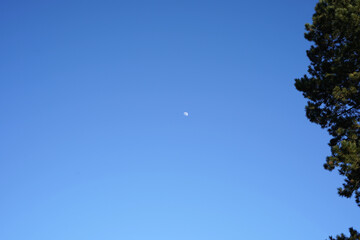 View of the blue sky, in which the distant moon can be seen.