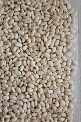 Raw Organic Dry White Beans on a white wooden background, top view.