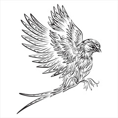 hand drawn flying bird line art design