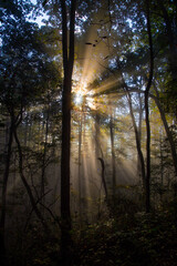 Obraz premium sunrise