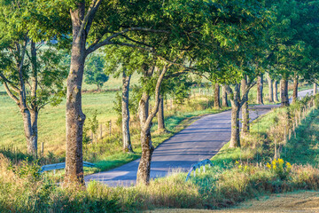 View of the Masurian road.