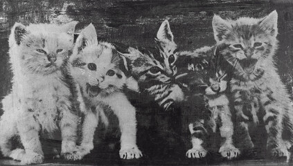 vintage photo with kittens © serikbaib
