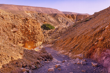 The Red Canyon in the Eilat Mountains, Israel