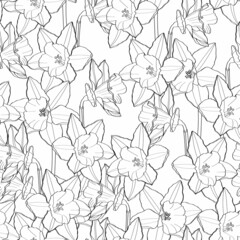 Seamless delicate pattern with spring line flowers. Bright spring  daffodils illustration.