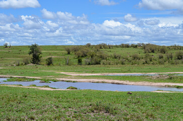 Natural landscape with river of kenya, Masai Mara National Park, Kenya, Africa