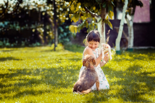 Happy kid having fun loving and embracing pets in backyard