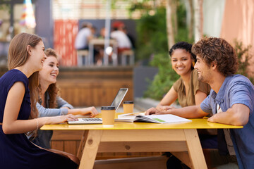 Beauty and the brains. A shot of university students studying on campus.