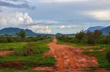 Fototapeta na wymiar Red road in the savannah in the Tsavo East, Kenya, Africa