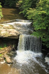 waterfall in the forest