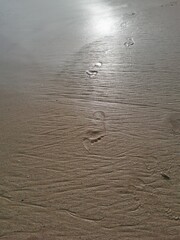 footprints in the sand