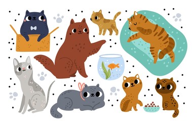 Cute cat breeds. Different funny pets characters. Cartoon kitties playing with box and aquarium. Various wool colors. Kittens sleeping or feeding. Mammals poses. Vector animals set