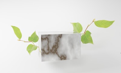 product display marble podium with nature leaves background. 3D rendering.