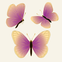 Set of three beautiful butterflies with golden outline.