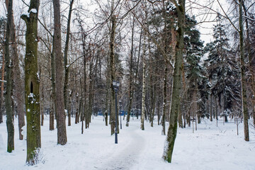 winter park on a cloudy day