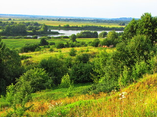 Fototapeta na wymiar Russia, Ryazan region, Oka River, landscape of region