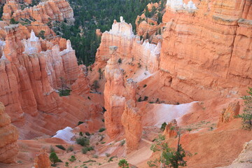 Thors Hammer at Bryce Canyon in Summer, Utah-USA