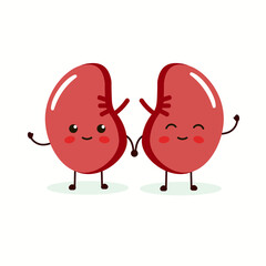 Cute and healthy happy smiling kidneys character. flat cartoon illustration icon design. Isolated on white backgound