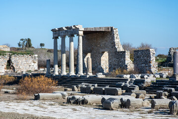 Fototapete bei efototapeten.de bestellen   